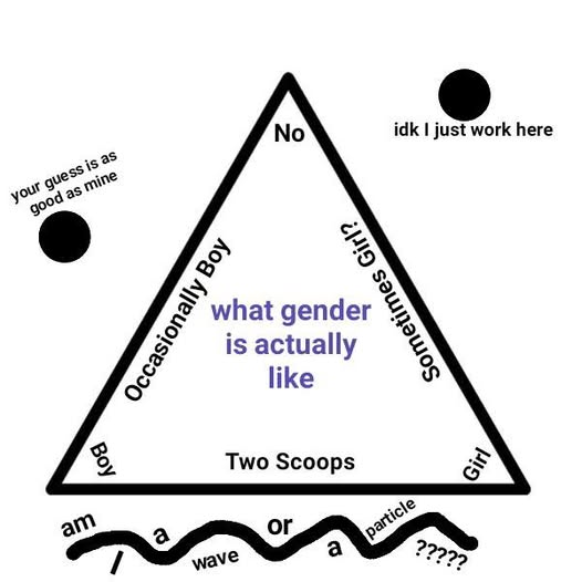 A schematic of "what gender is actually like", it's actually a triangle instead of a spectrum or something. The 3 ends of the triangle are : boy, girl, no. Between them is : occasionally boy, occasionally girl, two scoops (??). Outside the triangle are more genders !
"idk i just work here"
"your guess is as good as mine"
"am i a wave or a particle ??"